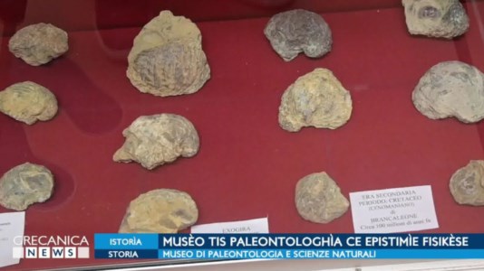 Viaggio nel tempoOltre 15mila fossili testimoni di una storia millenaria, benvenuti al Museo di Paleontologia di Bova