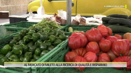 Caccia all&rsquo;affare“Il carrello della spesa” tra le bancherelle del mercato rionale di Mileto: il reportage del Tg di LaC Tv