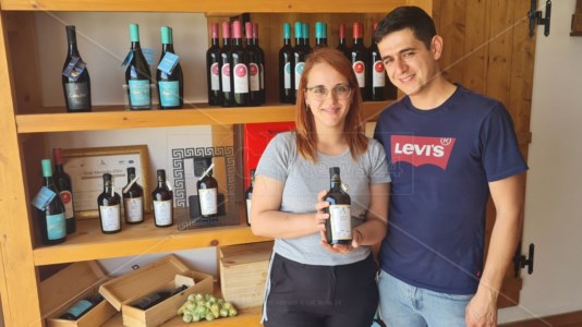 Calabria delle eccellenzeTra i filari di Zibibbo e di Magliocco Canino a Zambrone: serata di degustazione dei vini Artese