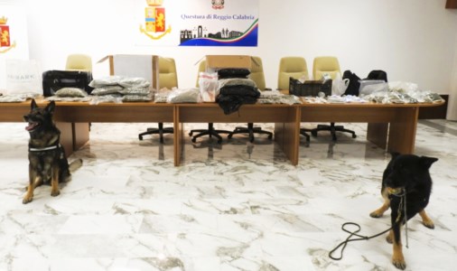 Il sequestroUn laboratorio di droga a Reggio Calabria, arrestato 28enne: in un casolare trovati 20 chili di marijuana e cocaina