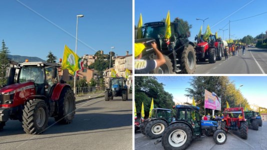 La mobilitazioneEmergenza cinghiali, da Acri il corteo di trattori verso il sit-in di Cosenza: «Non dormiamo più, siamo disperati»