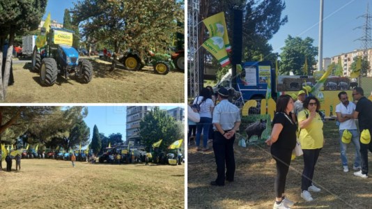 Trattori in corteoEmergenza cinghiali, a Cosenza la protesta degli agricoltori: lo scorso anno hanno avuto danni per 5 milioni di euro