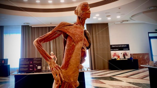 Siamo fatti cosìReal Human Exhibition: una mostra che sfida le percezioni sul corpo umano 