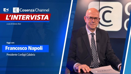 L’intervistaAutonomia differenziata, Francesco Napoli (Confapi Calabria): «Il Ddl Calderoli spacca l’Italia»