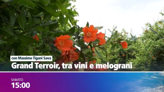 Format tvGrand Terroir tra vini e melograni: puntata speciale oggi alle 15 su LaC OnAir