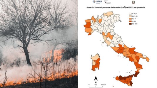 Dati IspraCalabria e Sicilia le più flagellate dagli incendi: in aumento l’estensione delle aree colpite