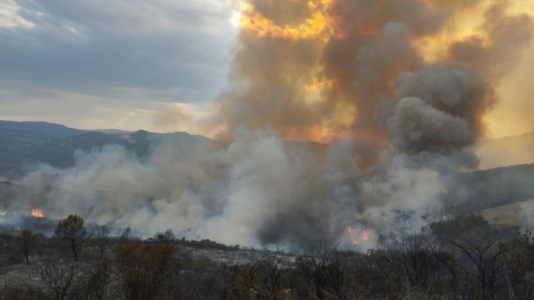 È emergenzaCalabria nella morsa degli incendi, anche l’alto Jonio travolto dalle fiamme: roghi prima ad Albidona poi a Oriolo