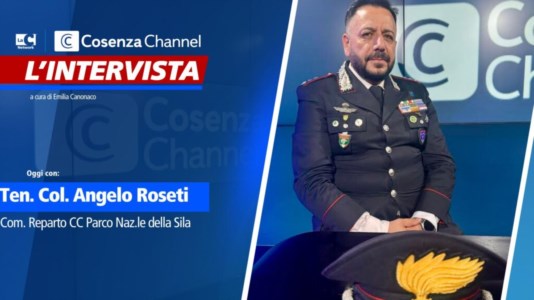 L’intervista«Così ci prendiamo cura del Parco della Sila»: parla il colonnello dei carabinieri Angelo Roseti 