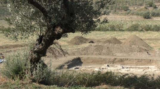 La scopertaPiantando un agrumeto trova una villa romana: nelle campagne di Squillace spunta un sito di interesse archeologico