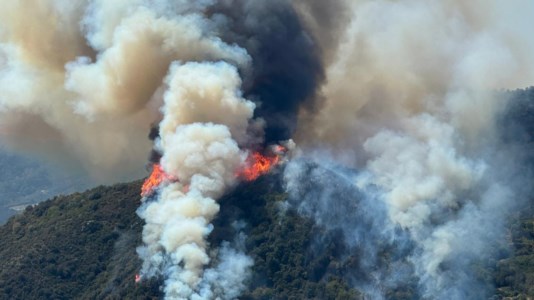 La terra bruciaIncendi in Calabria, a Scala Coeli in fiamme ulivi secolari. Legambiente: «La prevenzione è fondamentale»