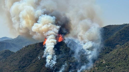 Basta roghiLotta agli incendi, la Regione Calabria ottiene il via libera per due nuovi progetti da un milione di euro ciascuno