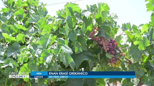 Enan krasì grekànicoDalle vigne secolari di Palizzi un vino greco che è un viaggio in una storia lunga quattro generazioni