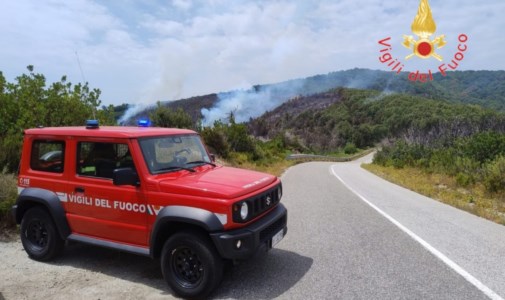 Roghi nel CatanzareseVasto incendio boschivo tra Badolato e Petrizzi, vigili del fuoco al lavoro da ore