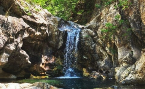 La propostaRegione Calabria, depositata una proposta di legge per l’istituzione della Riserva naturale di Trinchise