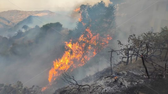 Serata di fuocoIncendio nell&rsquo;area boschiva di Terravecchia, rogo domato dopo diverse ore: fiamme vicino alle case e tanta paura tra i cittadini