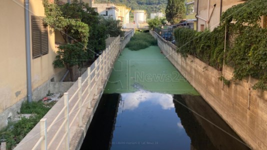 EmergenzaVibo Marina, il fosso Antonucci è una fogna a cielo aperto. I residenti: «Costretti a barricarci in casa»