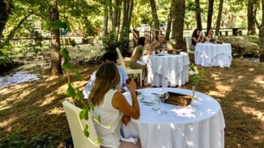 Immersi nel verdeUn ristorante nel bosco, in Calabria si può: pranzo speciale nella natura incontaminata della Sila