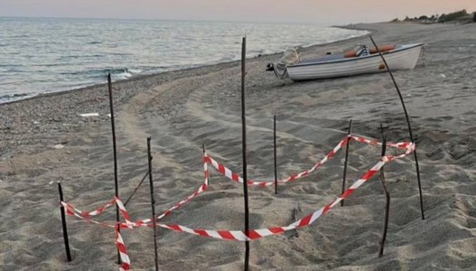 Il nido sulla spiaggia di Stilo