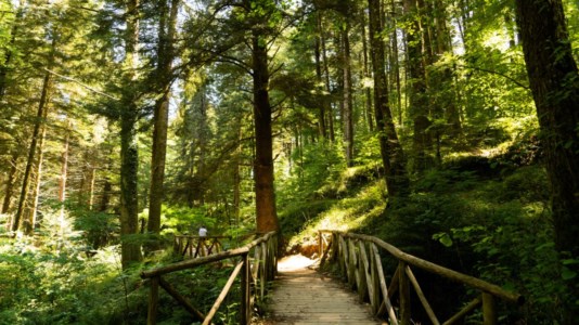 I percorsi naturalistici del Parco delle Serre (fonte Regione Calabria)