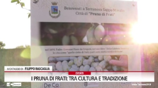 L’iniziativaArsac e biodiversità, i “Pruna di Frati” celebrate a Terranova Sappo Minulio