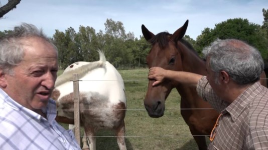 Vita da emigranteEugenio Nocito, il gaucho di Altomonte: «Stare lontano dalla Calabria non è semplice ma in Uruguay facciamo un grande lavoro»