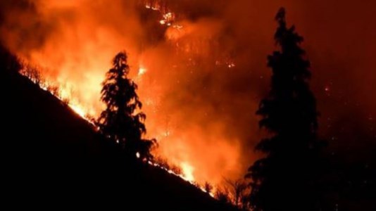 Senza treguaLe fiamme divorano la Sila: canadair in volo da tre giorni per spegnere un grosso incendio a Longobucco