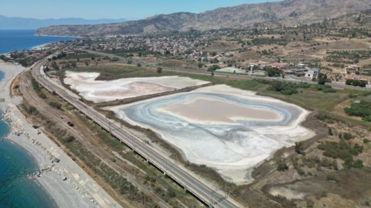 Ambiente e naturaReggio, la siccità minaccia la biodiversità nel pantano di Saline ma c’è speranza: ieri sera sono arrivate le cicogne