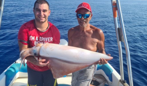 Pesca eccezionaleUn calamaro gigante pescato nelle acque di Saline Joniche: pesa quindici chili