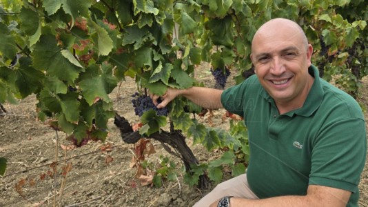 Grand terroirPasquale Iuzzolini: «Per il Gaglioppo e i vini di Cirò il 2024 sarà un’annata straordinaria e da ricordare»