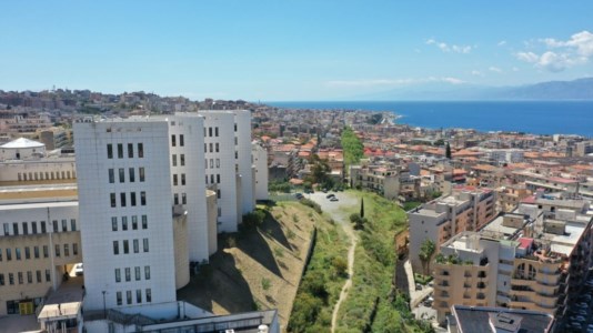 Università Mediterranea di Reggio Calabria