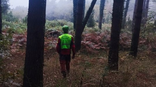 Il fattoDisperso di 71 anni nel Catanzarese, concluse le ricerche del soccorso alpino. Restano al lavoro i vigili del fuoco