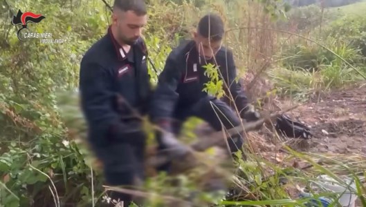 Indagini in corsoArmi da guerra, fucili e pistole: tre arsenali clandestini scoperti dai carabinieri nel Vibonese