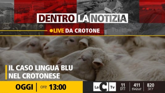 I nostri formatAl via la nuova stagione di Dentro la notizia: l’emergenza Lingua blu nella puntata di oggi: alle 13 su LaC Tv