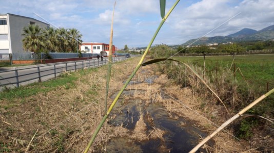 Il canale Revoce ricoperto di fango e melma