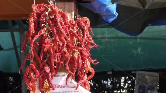 Hot-tobre piccanteRoma brucia… di peperoncino: da Diamante alla Capitale la sesta edizione del festival calabrese dedicato all’iconica spezia