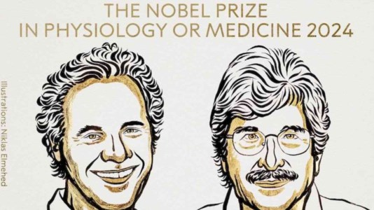 PremiatiIl Nobel per la Medicina agli americani Ambros e Ruvkun per i micro Rna