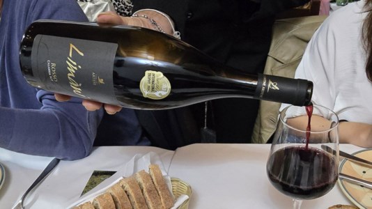 Grand terroirLo Zibibbo delle Cantine Artese di Vibo Valentia protagonista de “La Notte delle Stelle” a Bova