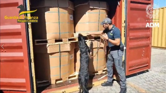 Lotta allo spaccioMaxi sequestro di droga al Porto di Gioia Tauro, rinvenuti nei container 280 chili di cocaina purissima