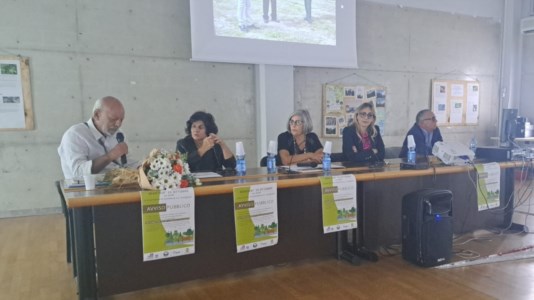 Il progettoA Corigliano-Rossano nascerà il Parco della salute, l’oasi verde garantirà anche spazi per attività culturali e sportive