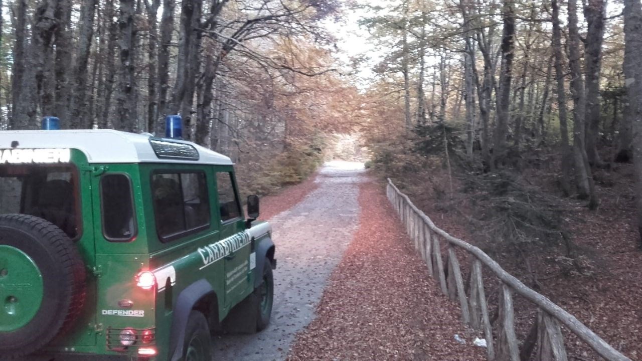 Carabinieri forestali