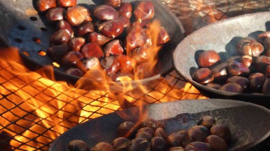 Cibo e tradizioniIl tempo delle castagne, la Calabria celebra la regina dell&rsquo;autunno: ecco alcune delle sagre pi&ugrave; famose e longeve della regione