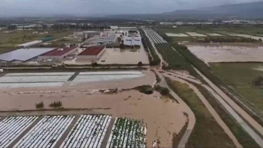 Maltempo in CalabriaTerreni sommersi e strade allagate: l’esondazione del fiume Amato ripresa dai droni della Prociv