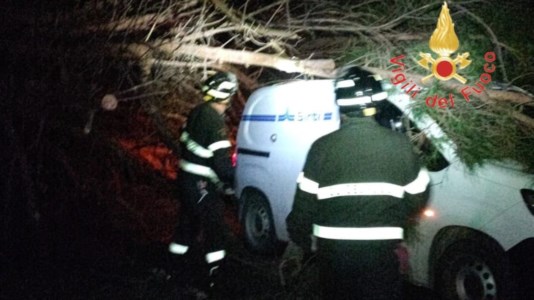 Tragedia sfiorataIl maltempo continua a causare danni: albero cade sulla strada dei Due Mari e prende in pieno un furgone