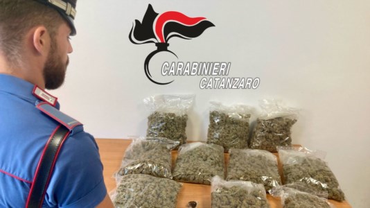 Controlli del territorioLamezia Terme, trovato con oltre 5 chili di marijuana nel bagagliaio dell’auto: arrestato un 28enne