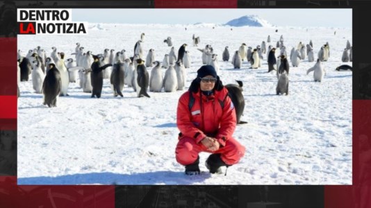 Nuova puntataFrancesco Pellegrino, un calabrese in Antartide: la sua storia oggi a Dentro la Notizia