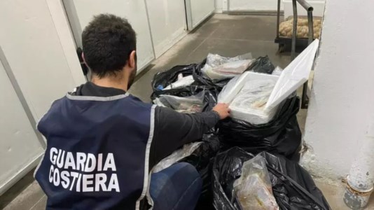 I controlliPesce senza tracciabilità, raffica di multe in Calabria: sequestrati 1500 chili di prodotti ittici