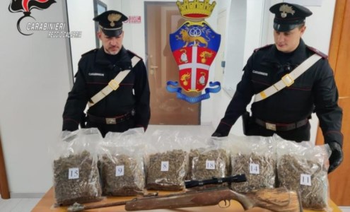 Lotta al traffico di drogaNove chili di marijuana, un’arma clandestina e munizioni scoperte nelle campagne del Reggino