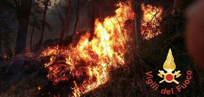 Incendio Parco della Biodiversità