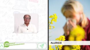 Allergie, il Whatsapp di Manfrida