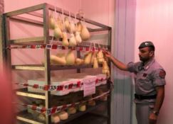 Trasporta prodotti alimentari ammuffiti, deferito all'autorità giudiziaria